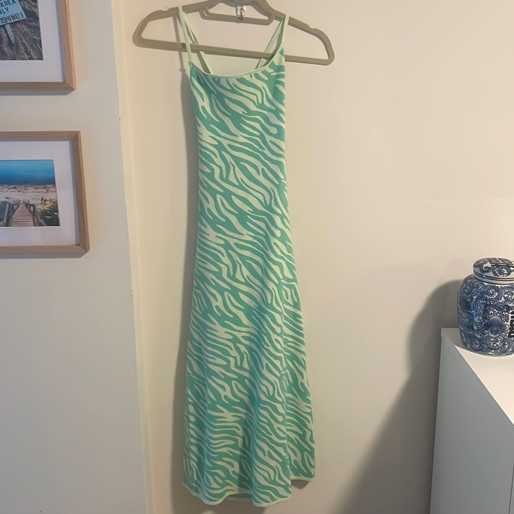 Zara Neon Zebra Dress